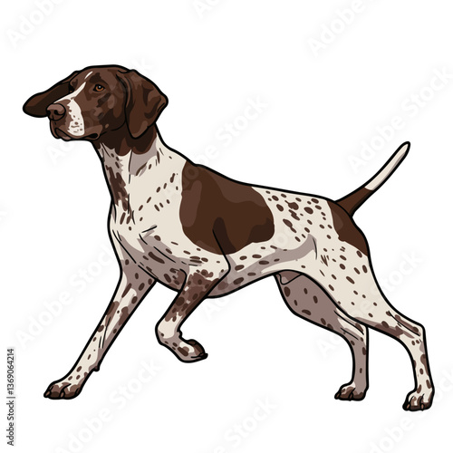 German Shorthair Pointer