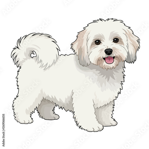 Codon de Tulear