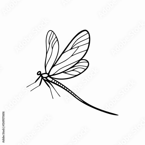 Elegant mayfly line drawing shows delicate insect. Detailed wings and long tail depicted in black and white. Nature concept for fly fishing, aquatic biology, elegant design.