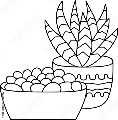 A snake-like haworthia beside a cluster of lithops (living stones) Coloring Page