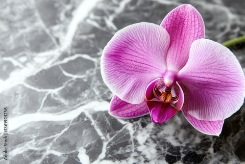 A vibrant pink orchid rests gracefully on a sleek, gray marble surface.