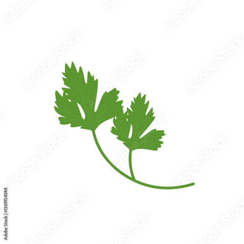 Illustration of celery plant 