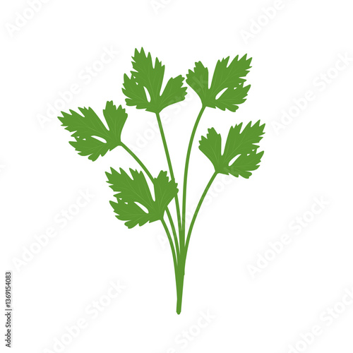 Illustration of celery plant 