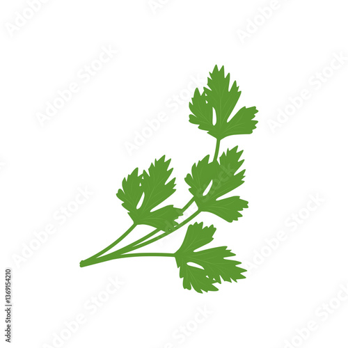 Illustration of celery plant 