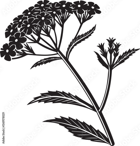 verbena flower vector, black and white flowers, verbena flower silhouette vector black and white