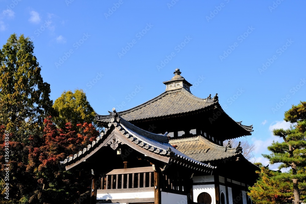 日本、京都、東福寺、紅葉、秋、絶景 日本、京都、東福寺、紅葉、秋、絶景