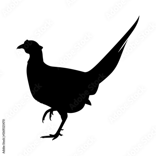 Silhouette of a Pheasant Bird