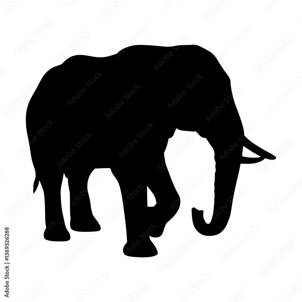Fototapeta premium Elephant Silhouette - Black Outline