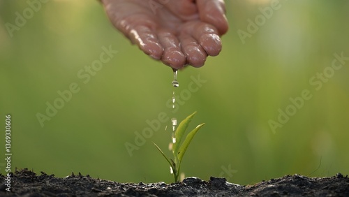 Nurturing business growth through sustainable practices a green initiative nature setting visual content close-up perspective conceptual overview