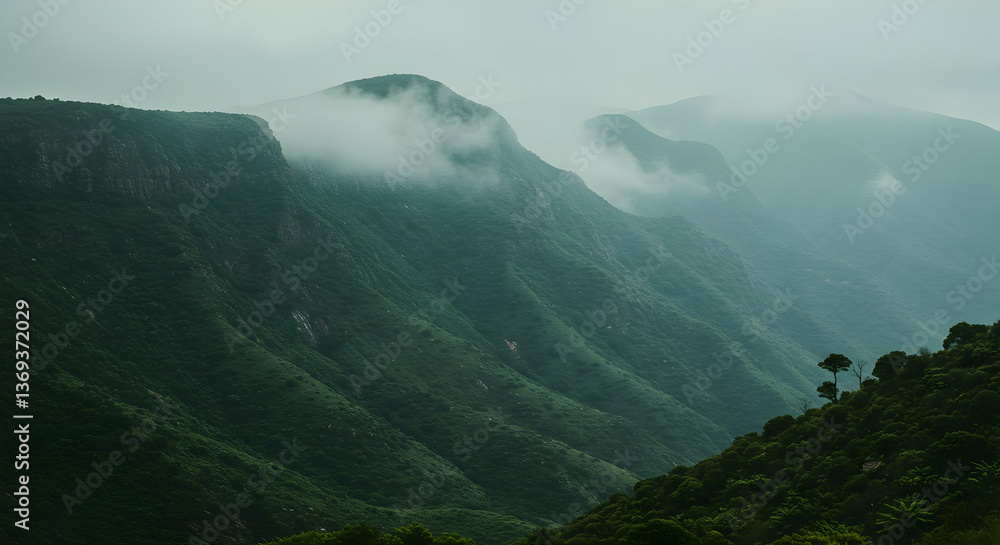 Obraz premium Misty Mountain Range With Dense Forest