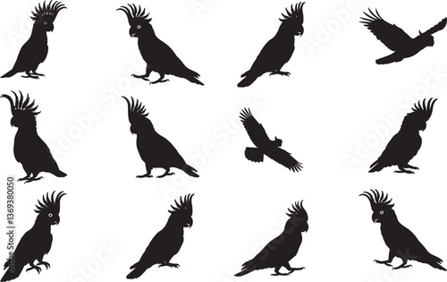 Cockatoo Silhouette