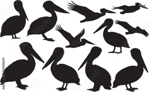 Bild auf Leinwand Pelican Silhouette
