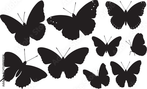 Silhouette of an Admiral Butterfly