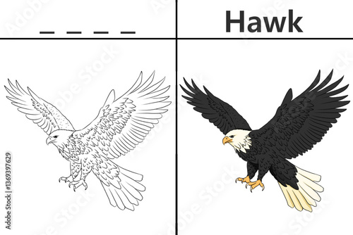 Hawk coloring pages for kids and learn to recognize letters, animal recognition card media for various games in early childhood learning