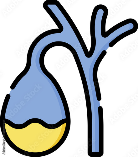 gallbladder (2) Illustration on a white background
