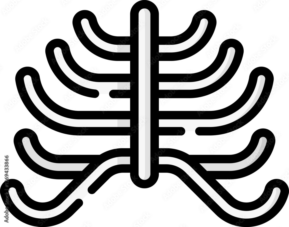 Obraz premium ribcage (2) Illustration on a white background.
