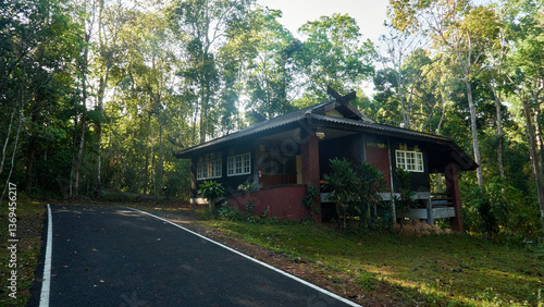 Cottages in the Forest of a National Park