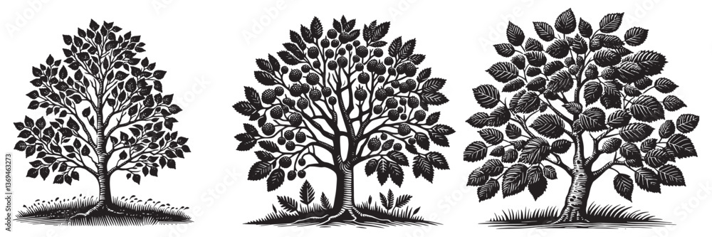 Fototapeta premium Alder tree in traditional woodcut drawing, black and white botanical illustration