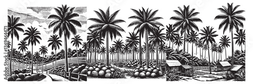 Coconut Plantation in traditional woodcut drawing, black and white botanical illustration