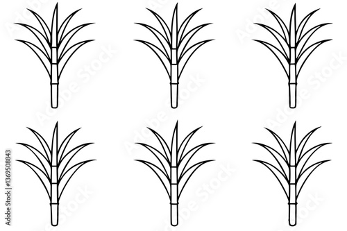 Sugarcane Varieties Line Art Silhouette Vector Set - Botanical Illustration Collection