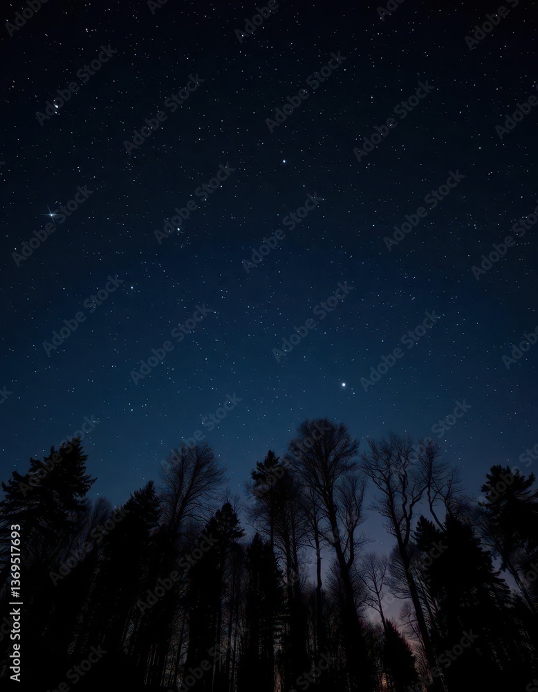 Fototapeta premium Silhouetted trees stark against a starlit night sky, nature, trees, sky
