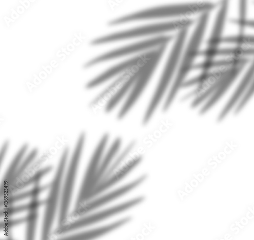 Realistic palm leaves / tropical leaves shadow overlay effect for natural lighting in mockups and product photos decoration