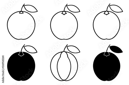 Sapodilla Varieties Line Art Silhouette Vector Set - Tropical Fruit Illustration Collection