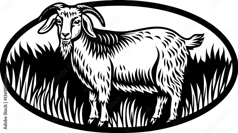 Obraz premium goat on a white background