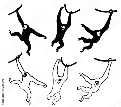 Gibbon Affe 