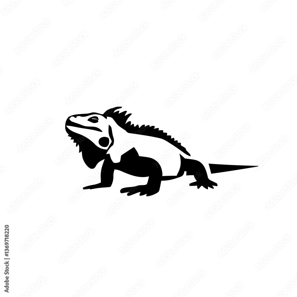 Fototapeta premium iguana 