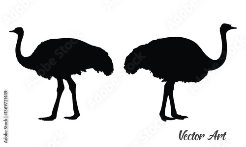 Ostrich silhouette vector, emu bird black silhouette