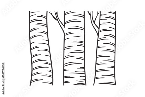 Three Birch Trees, Black and White, Line Art, Nature vector art, Forest Scene, Simple Design, Bota
