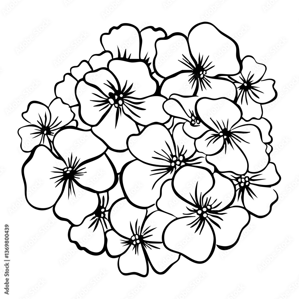 Phlox Flower with leaves. Isolated vector botanical illustration: retro, vintage, hand drawn, black and white, outline. For wedding invitation, card, print, tattoo. Beautiful vector illustration