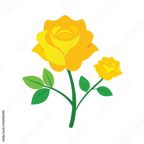 yellow rose on white background