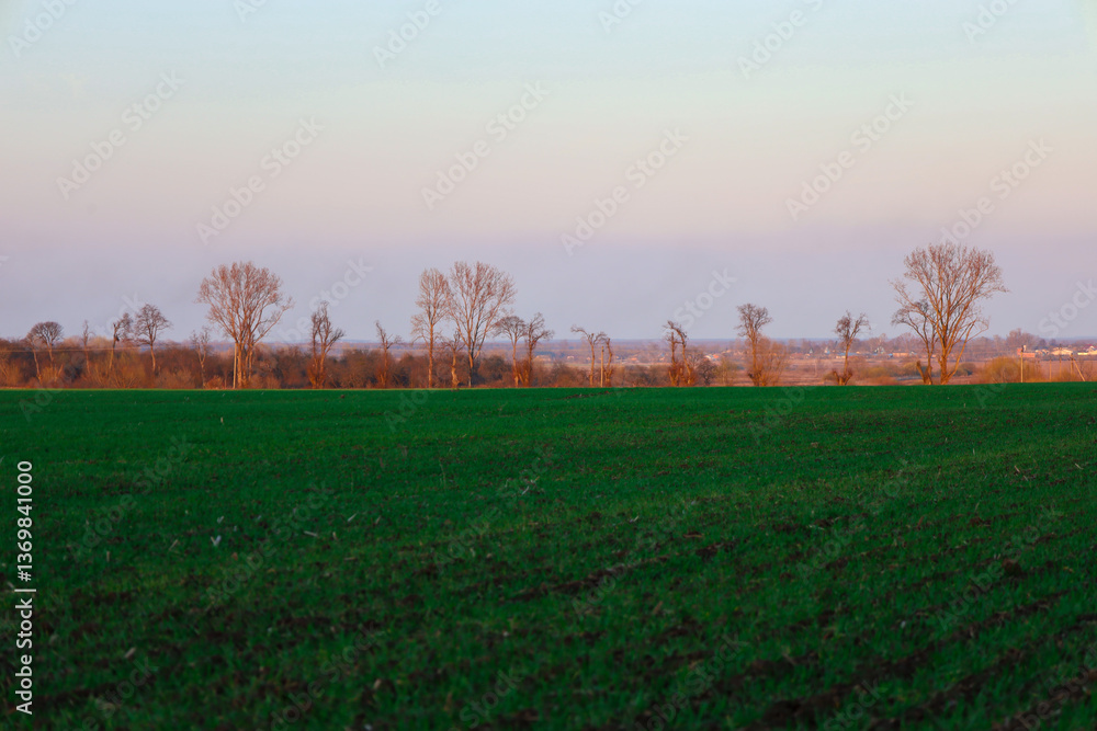 © Олег Струс - The photograph shows a rural landscape with a wide green field in the foreground. The field has lush green grass. In the background, a line of trees stretches along the horizon. © Олег Струс - The photograph shows a rural landscape with a wide green field in the foreground. The field has lush green grass. In the background, a line of trees stretches along the horizon.