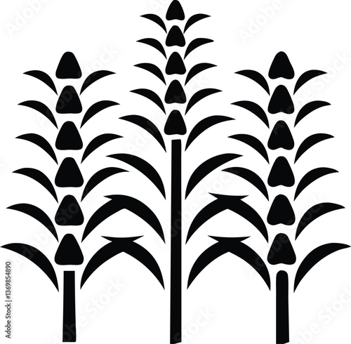 Maize field silhouette. Corn farm black vector illustration. Cultivation of crops.