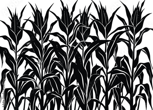 Maize field silhouette. Corn farm black vector illustration. Cultivation of crops.
