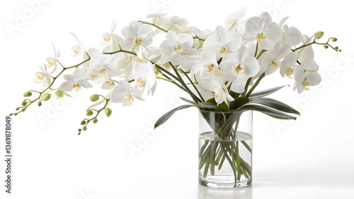 Minimalist Bouquet of White Orchids in a Sleek Glass Vase, Isolated on a White Background, symbolizing purity and luxury, Professional Luxury Floral Arrangement Stock Image