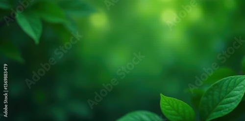 Dark green leaves frame bottom right corner of a blurred background , backdrop, illustration, wallpaper