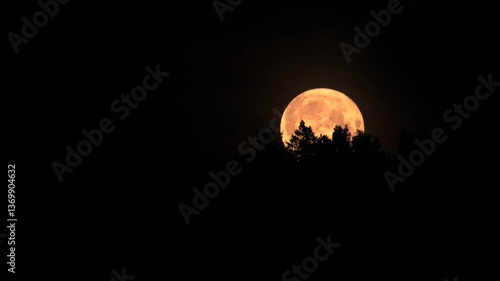 Full moon over the forest