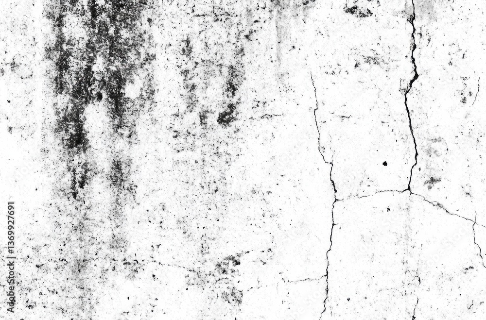 Fototapeta premium Black and White Abstract Painting Print - Modern Minimalist Wall Art