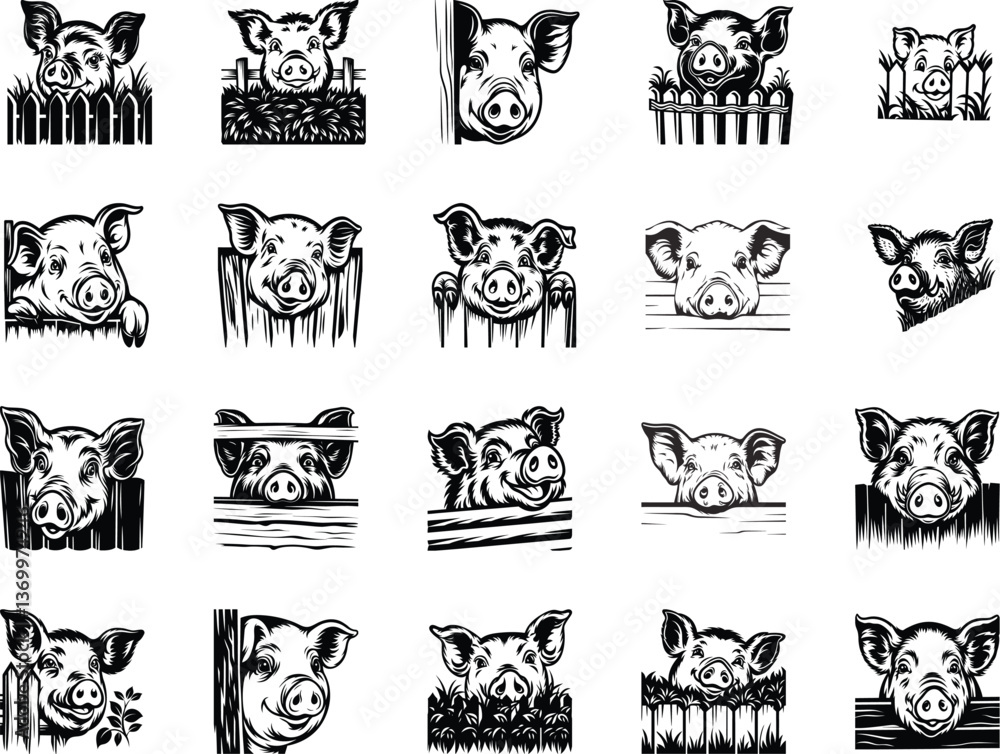 Fototapeta premium Peeking Pig Head