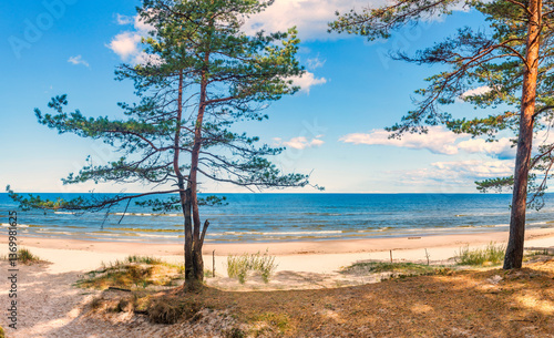 Coastal landscape in Jurmala – famous Latvian tourist resort on the Baltic Se...