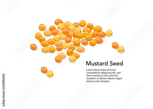 Scattered mustard seeds on white background_stock illustration