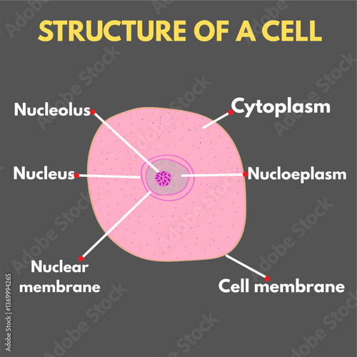structure of a cell diagram biology illustration science design useful for educational purposes