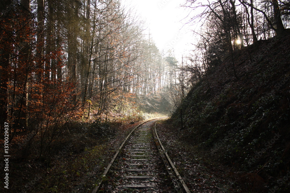 Fototapeta premium railway in the morning fog