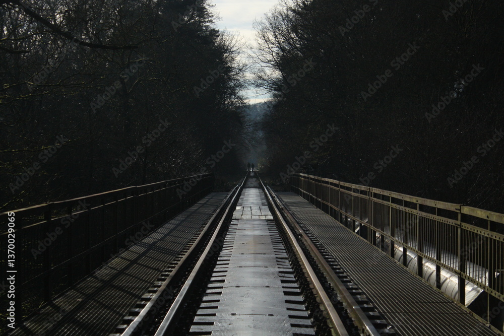 Fototapeta premium railway in the fog