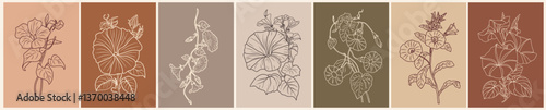 Set of botanical line art drawings of autumn September birth month flowers, Morning glory, Petunia. Vector sketch isolated on terracotta colors backgrounds. Card, wall art, poster template.