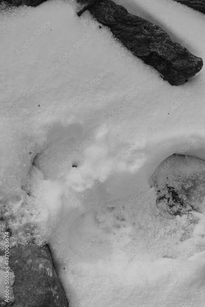 Mont Singer 28 Mars 2025 - N&B