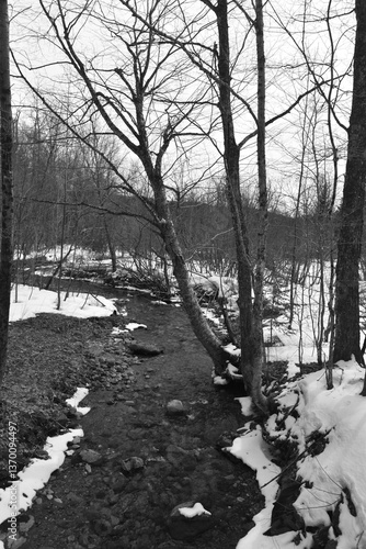 Obraz na płótnie Mont Singer 28 Mars 2025 - N&B w salonie